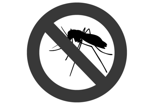 Immagine della categoria