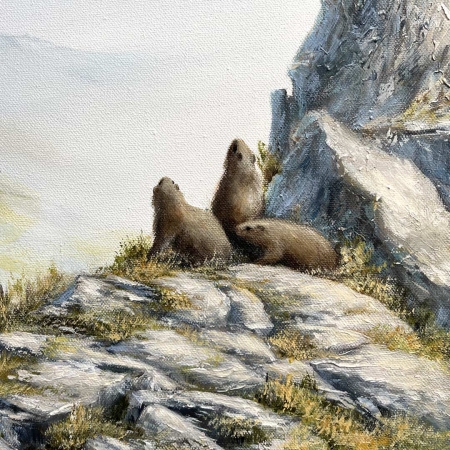 Stampa darte Arcus e marmotte