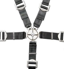 Set di cinture a 5 punti da avvitare con fibbia girevole - Gadringer